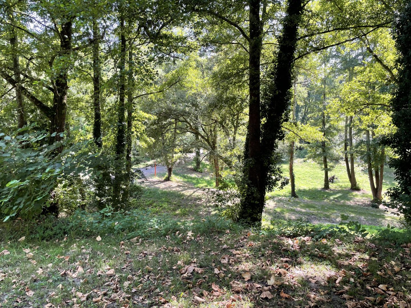Chemin Balcons de la Leyre.JPG