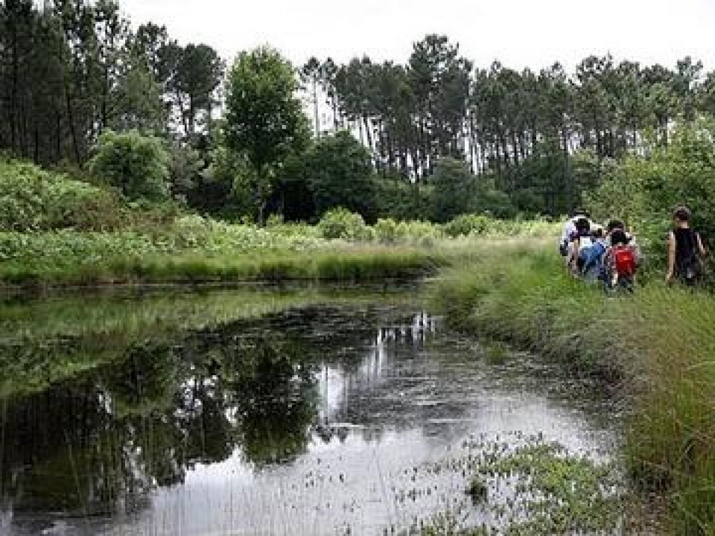 Marais-du-Plata_large.jpg
